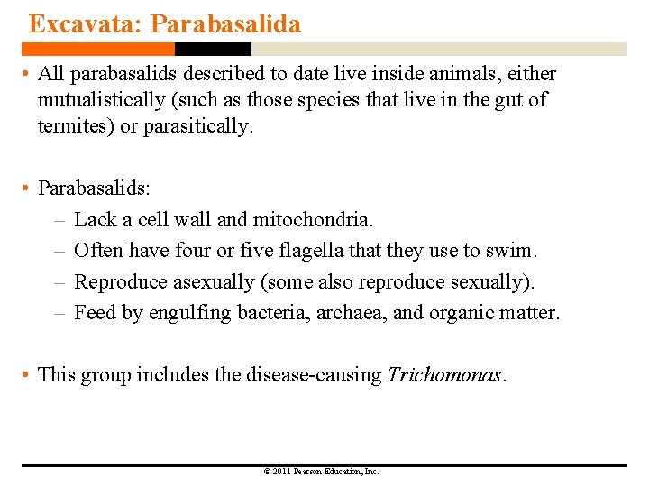 Excavata: Parabasalida • All parabasalids described to date live inside animals, either mutualistically (such Excavata: Parabasalida • All parabasalids described to date live inside animals, either mutualistically (such
