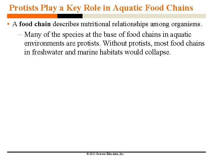 Protists Play a Key Role in Aquatic Food Chains • A food chain describes Protists Play a Key Role in Aquatic Food Chains • A food chain describes
