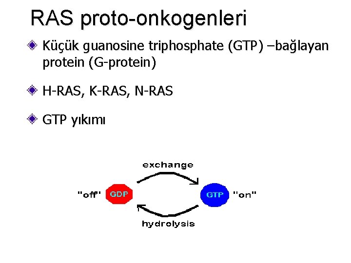 RAS proto-onkogenleri Küçük guanosine triphosphate (GTP) –bağlayan protein (G-protein) H-RAS, K-RAS, N-RAS GTP yıkımı