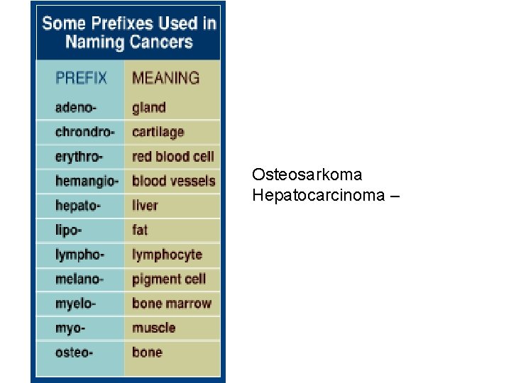 Osteosarkoma Hepatocarcinoma – 