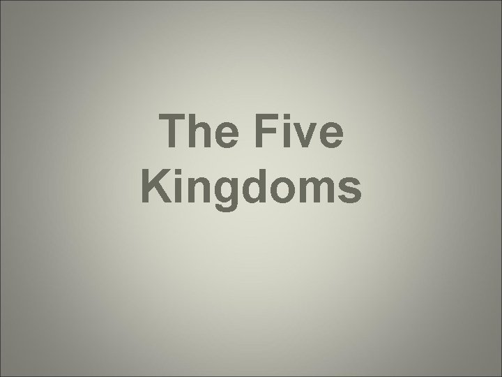 The Five Kingdoms 