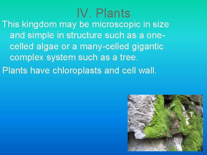 IV. Plants This kingdom may be microscopic in size and simple in structure such