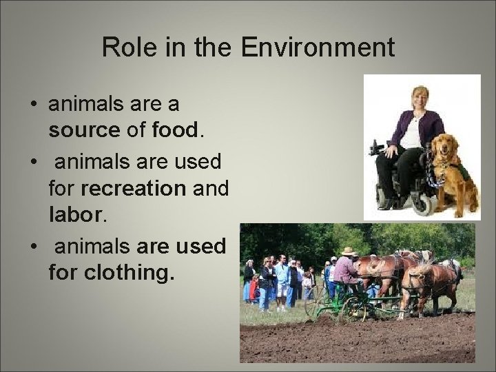 Role in the Environment • animals are a source of food. • animals are