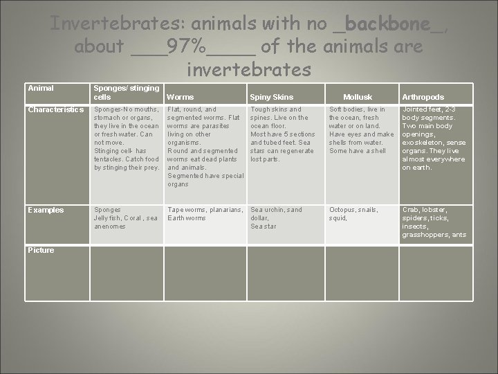 . Invertebrates: animals with no _backbone_, about ___97%____ of the animals are invertebrates Animal