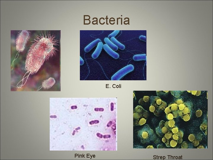 Bacteria E. Coli Pink Eye Strep Throat 