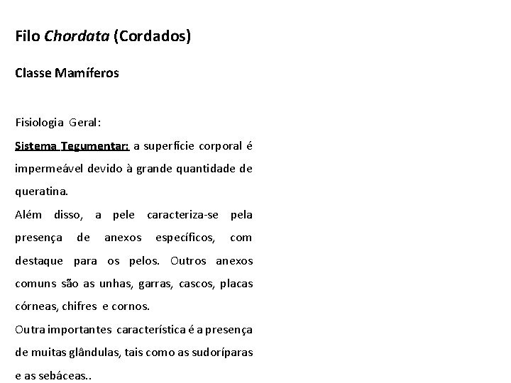 Filo Chordata (Cordados) Classe Mamíferos Fisiologia Geral: Sistema Tegumentar: a superfície corporal é impermeável Filo Chordata (Cordados) Classe Mamíferos Fisiologia Geral: Sistema Tegumentar: a superfície corporal é impermeável