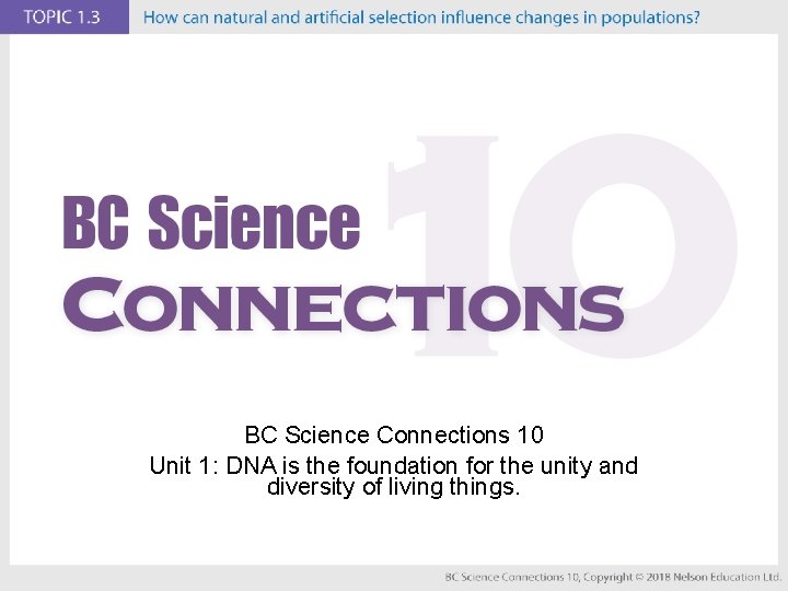 BC Science Connections 10 Unit 1: DNA is the foundation for the unity and