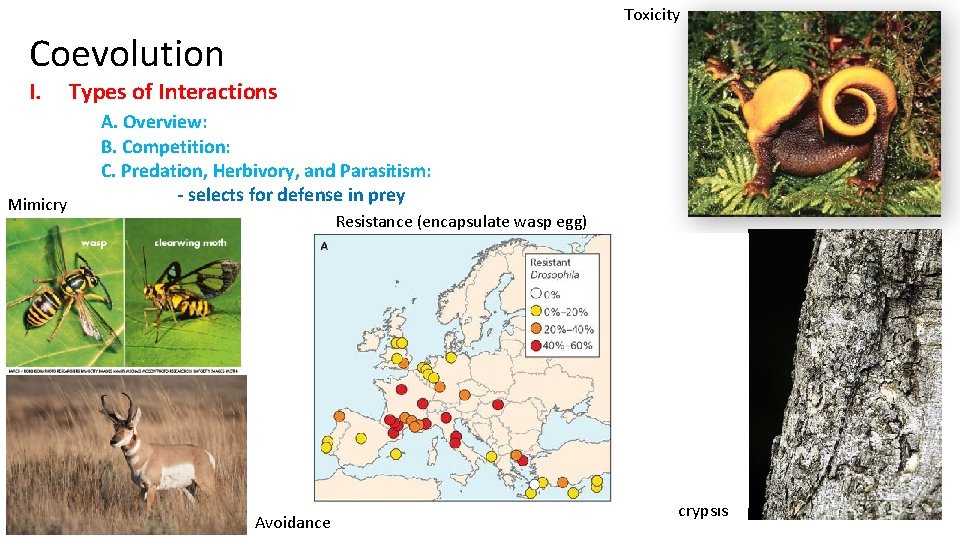 Toxicity Coevolution I. Mimicry Types of Interactions A. Overview: B. Competition: C. Predation, Herbivory,