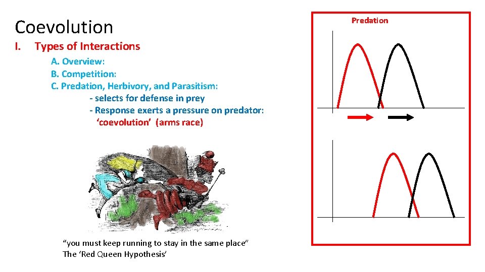 Coevolution I. Types of Interactions A. Overview: B. Competition: C. Predation, Herbivory, and Parasitism: