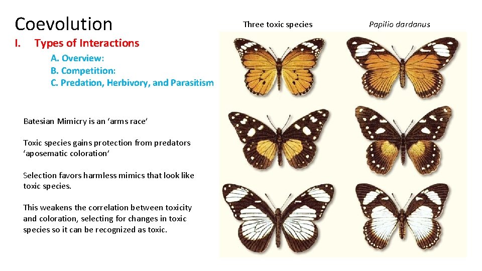 Coevolution I. Types of Interactions A. Overview: B. Competition: C. Predation, Herbivory, and Parasitism