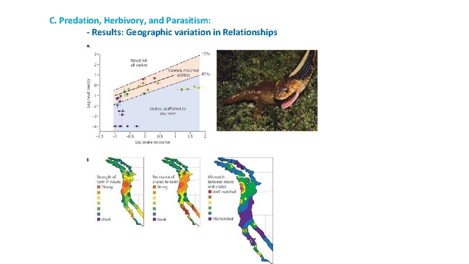 C. Predation, Herbivory, and Parasitism: - Results: Geographic variation in Relationships 