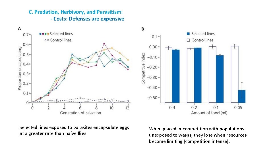 C. Predation, Herbivory, and Parasitism: - Costs: Defenses are expensive Selected lines exposed to