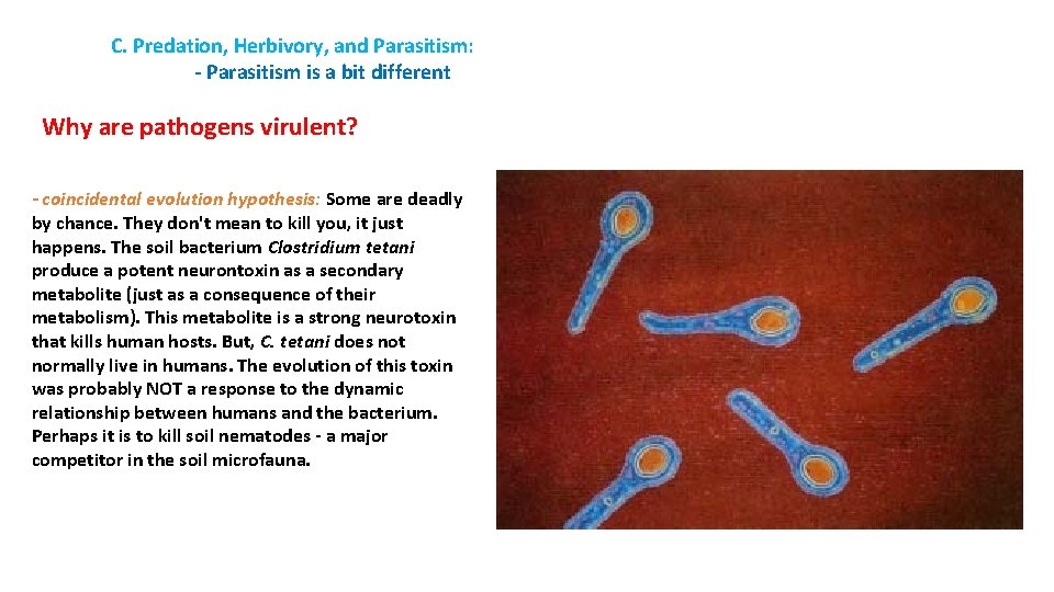 C. Predation, Herbivory, and Parasitism: - Parasitism is a bit different Why are pathogens