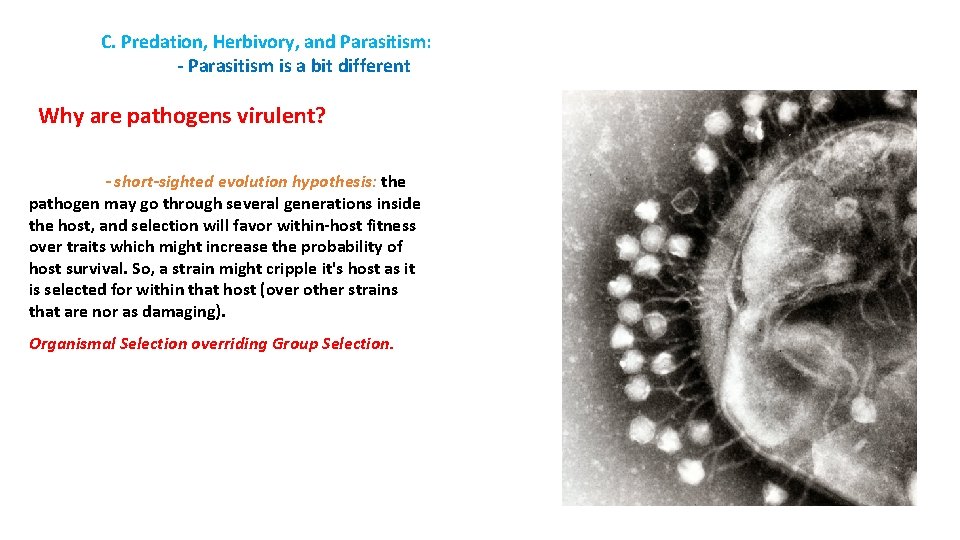 C. Predation, Herbivory, and Parasitism: - Parasitism is a bit different Why are pathogens