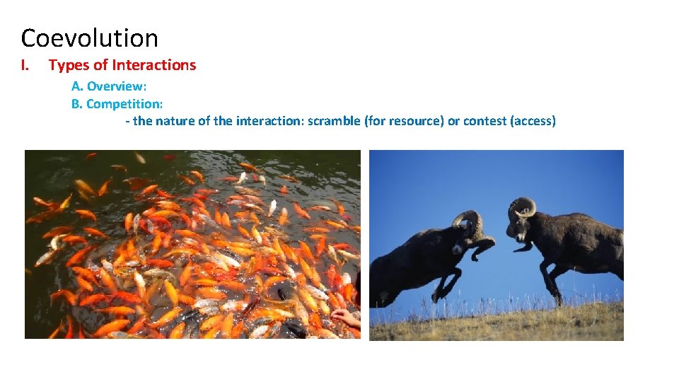 Coevolution I. Types of Interactions A. Overview: B. Competition: - the nature of the