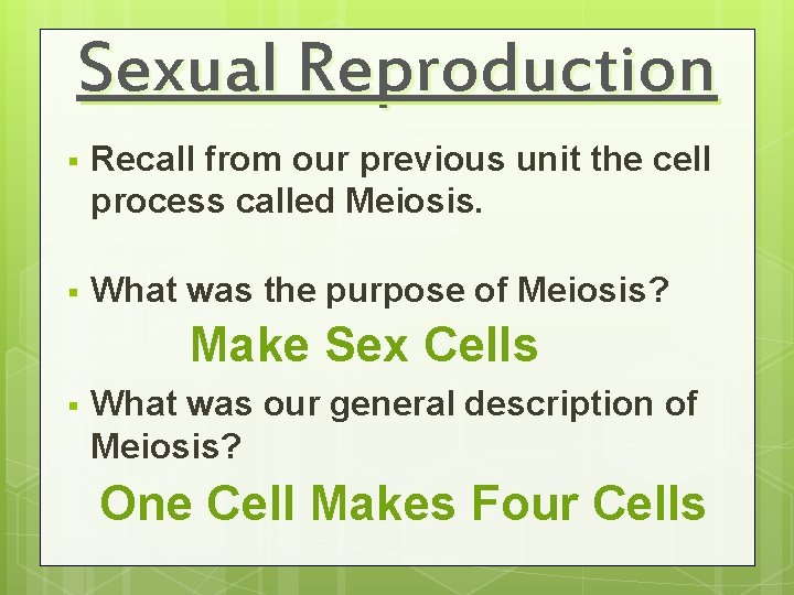 Sexual Reproduction § Recall from our previous unit the cell process called Meiosis. §