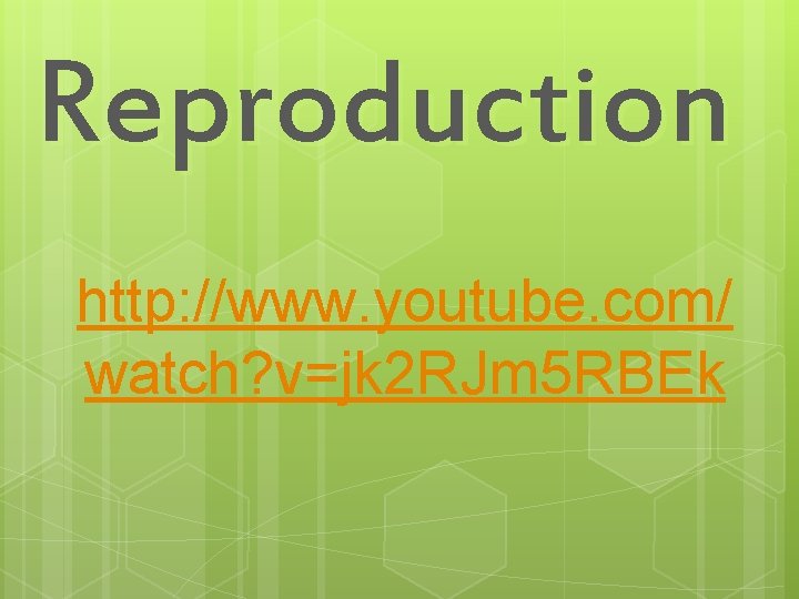 Reproduction http: //www. youtube. com/ watch? v=jk 2 RJm 5 RBEk 