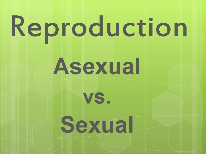 Reproduction Asexual vs. Sexual 