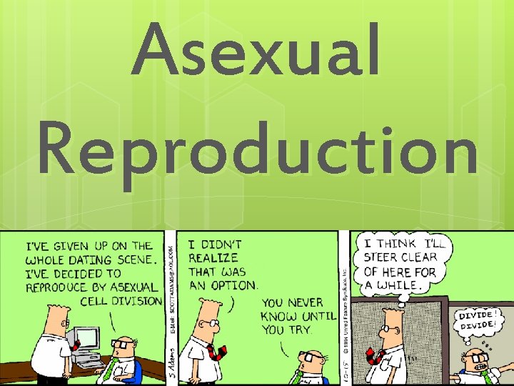 Asexual Reproduction 