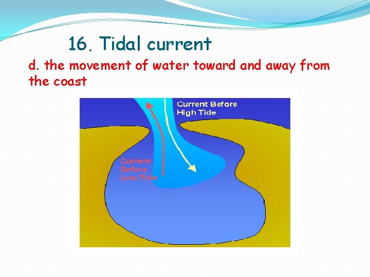 16. Tidal current d. the movement of water toward and away from the coast 16. Tidal current d. the movement of water toward and away from the coast