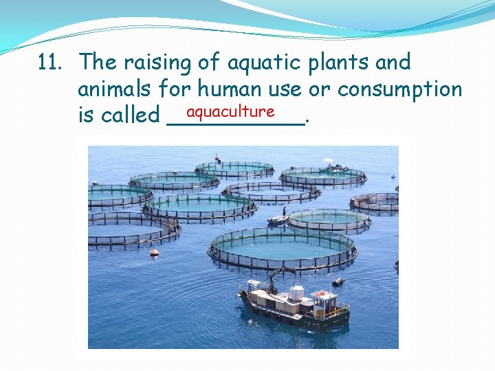 11. The raising of aquatic plants and animals for human use or consumption aquaculture 11. The raising of aquatic plants and animals for human use or consumption aquaculture