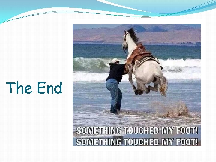 The End The End