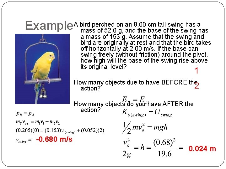 perched on an 8. 00 cm tall swing has a Example. A bird mass