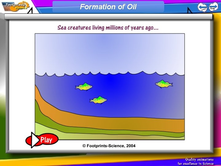 Formation of Oil 