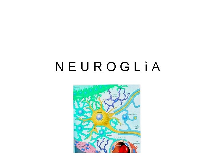 NEUROGLìA 