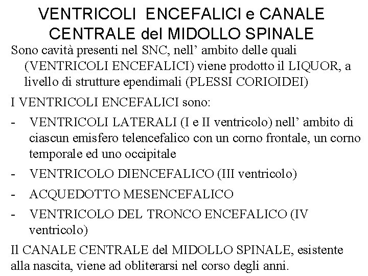 VENTRICOLI ENCEFALICI e CANALE CENTRALE del MIDOLLO SPINALE Sono cavità presenti nel SNC, nell’