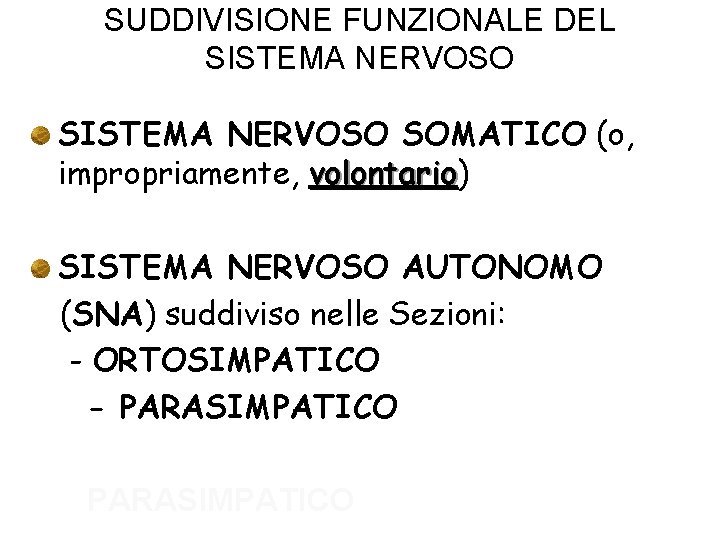 SUDDIVISIONE FUNZIONALE DEL SISTEMA NERVOSO SOMATICO (o, impropriamente, volontario) volontario SISTEMA NERVOSO AUTONOMO (SNA)