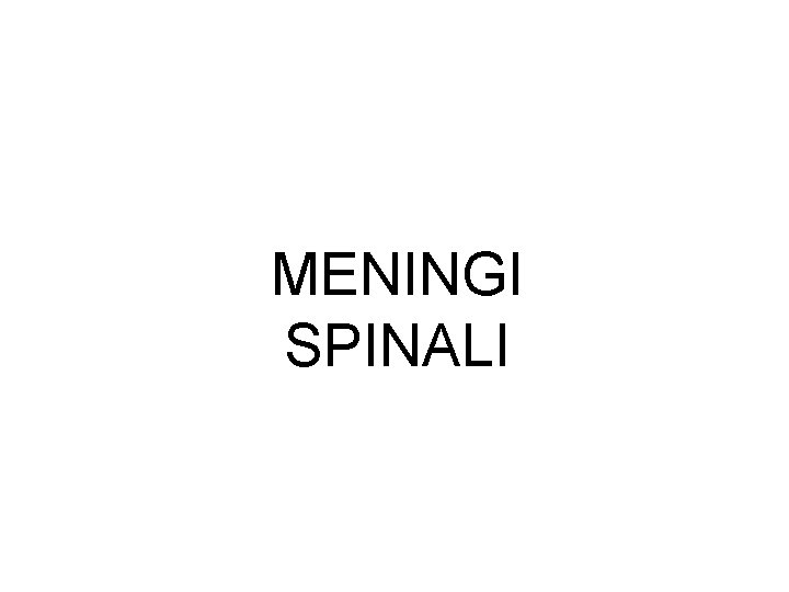 MENINGI SPINALI 