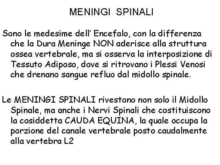 MENINGI SPINALI Sono le medesime dell’ Encefalo, con la differenza che la Dura Meninge