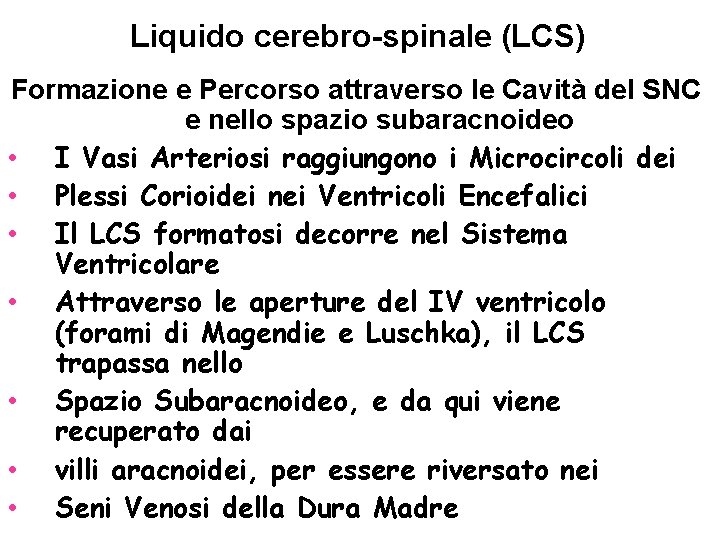 Liquido cerebro-spinale (LCS) Formazione e Percorso attraverso le Cavità del SNC e nello spazio