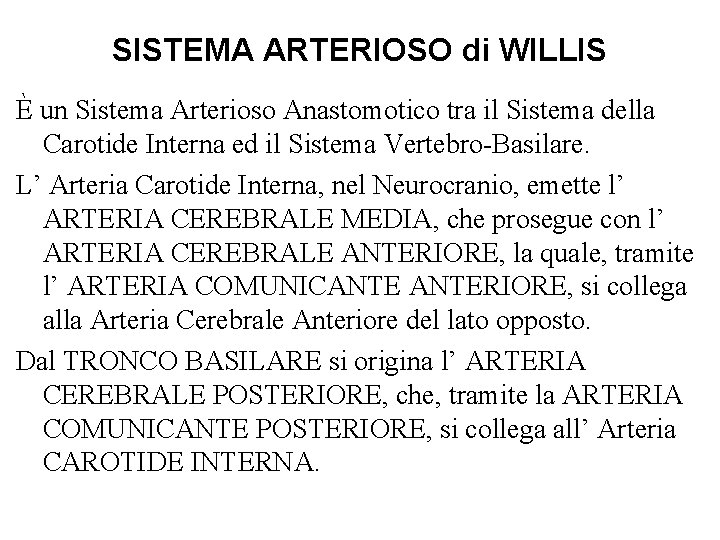SISTEMA ARTERIOSO di WILLIS È un Sistema Arterioso Anastomotico tra il Sistema della Carotide