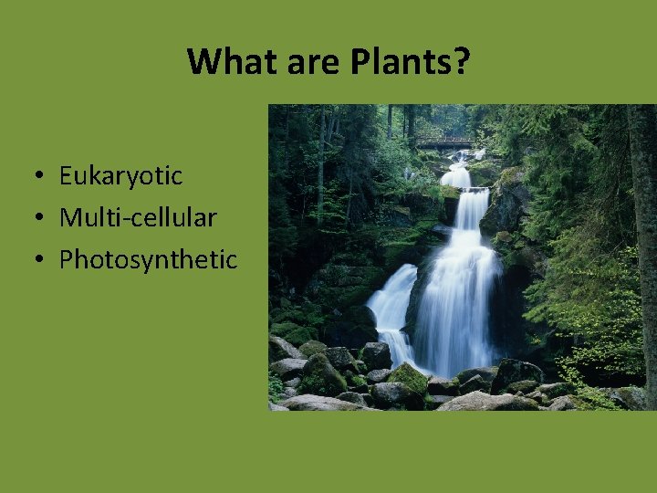 What are Plants? • Eukaryotic • Multi-cellular • Photosynthetic 