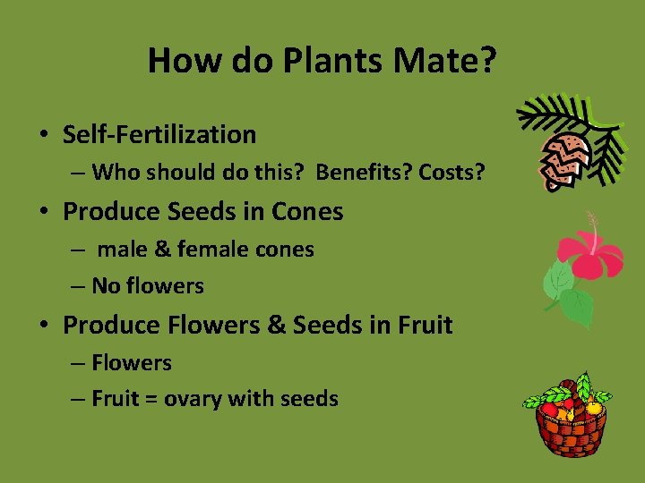 How do Plants Mate? • Self-Fertilization – Who should do this? Benefits? Costs? •