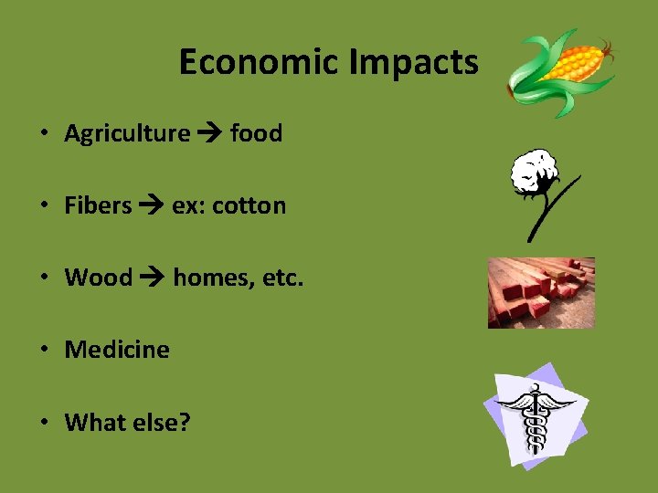 Economic Impacts • Agriculture food • Fibers ex: cotton • Wood homes, etc. •