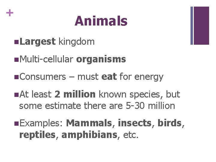 + Animals n. Largest kingdom n. Multi-cellular n. Consumers organisms – must eat for