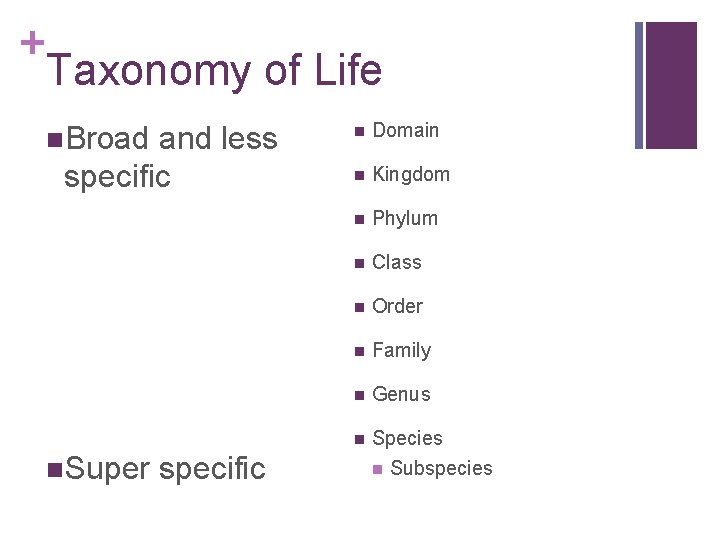 + Taxonomy of Life n. Broad and less specific n. Super specific n Domain