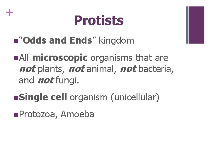 + Protists n“Odds and Ends” kingdom n. All microscopic organisms that are not plants,