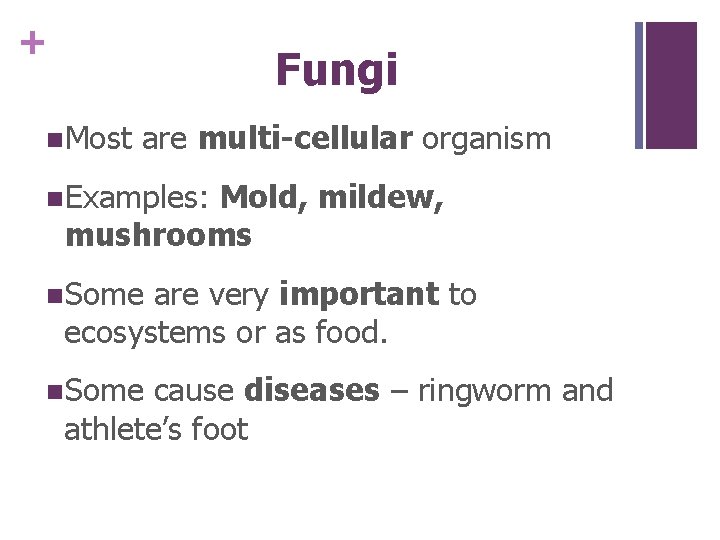 + Fungi n. Most are multi-cellular organism n. Examples: Mold, mildew, mushrooms n. Some