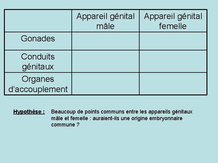 Appareil génital mâle Appareil génital femelle Gonades Conduits génitaux Organes d’accouplement Hypothèse : Beaucoup