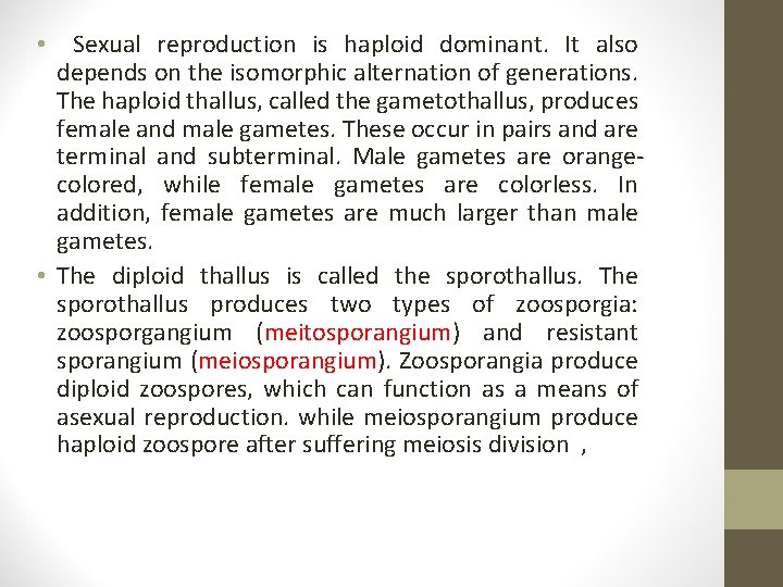  • Sexual reproduction is haploid dominant. It also depends on the isomorphic alternation