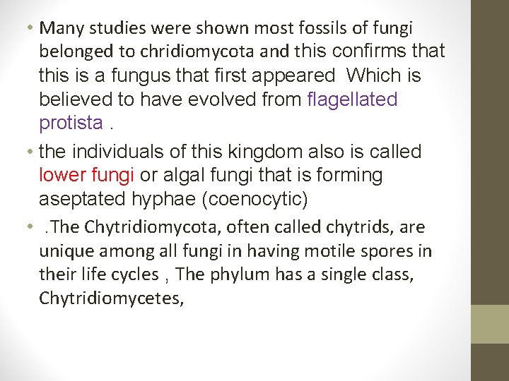  • Many studies were shown most fossils of fungi belonged to chridiomycota and