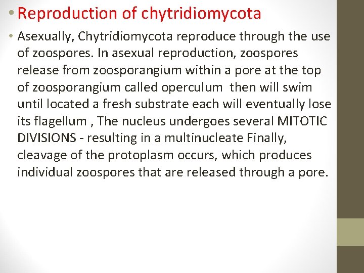 • Reproduction of chytridiomycota • Asexually, Chytridiomycota reproduce through the use of zoospores. • Reproduction of chytridiomycota • Asexually, Chytridiomycota reproduce through the use of zoospores.