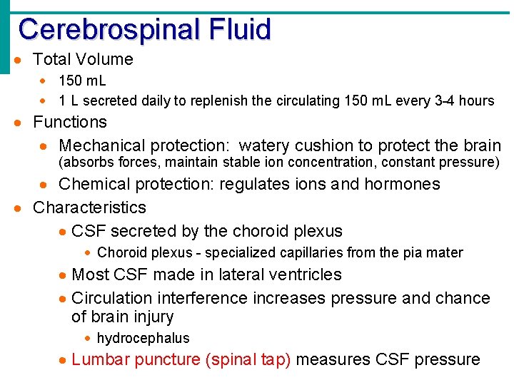 Cerebrospinal Fluid · Total Volume · 150 m. L · 1 L secreted daily