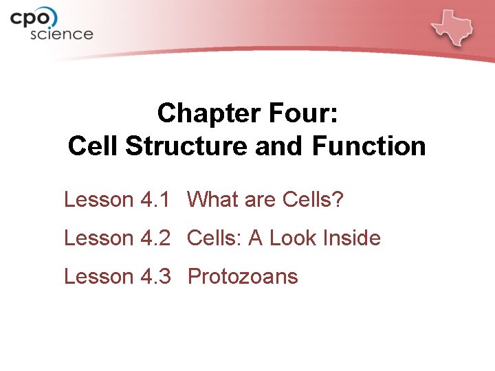 Chapter Four Cell Structure and Function Lesson 4