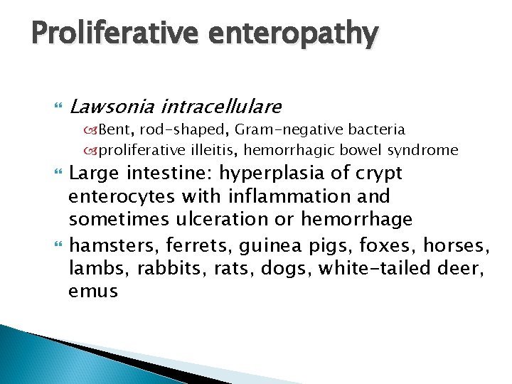 Proliferative enteropathy Lawsonia intracellulare Bent, rod-shaped, Gram-negative bacteria proliferative illeitis, hemorrhagic bowel syndrome Large