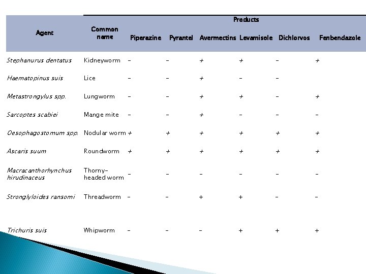 Products Agent Common name Piperazine Pyrantel Avermectins Levamisole Dichlorvos Fenbendazole Stephanurus dentatus Kidneyworm -